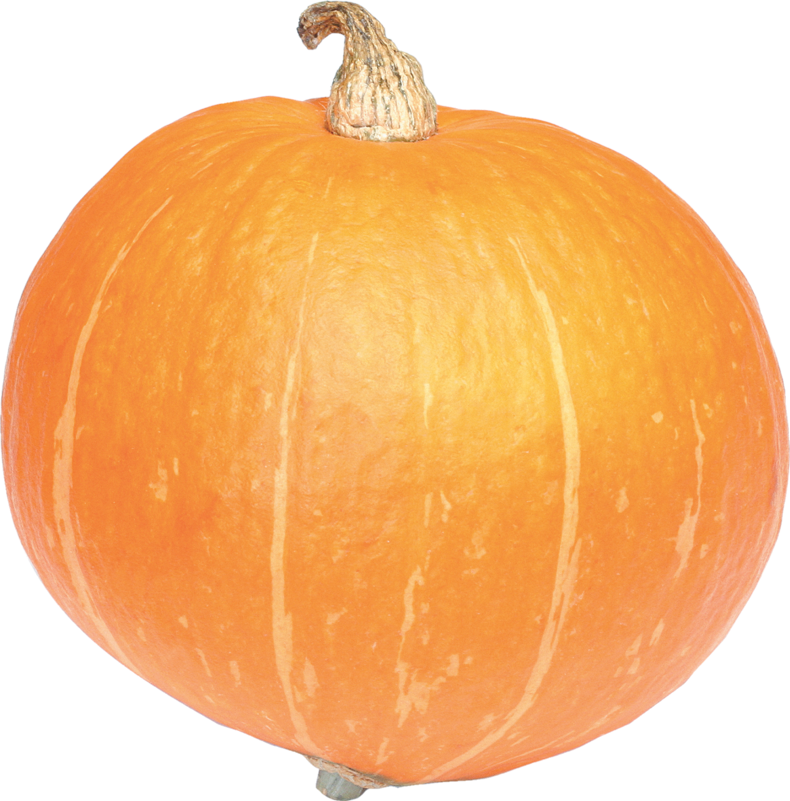 Pumpkin-17