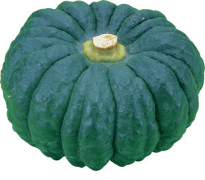 Green Pumpkin Png