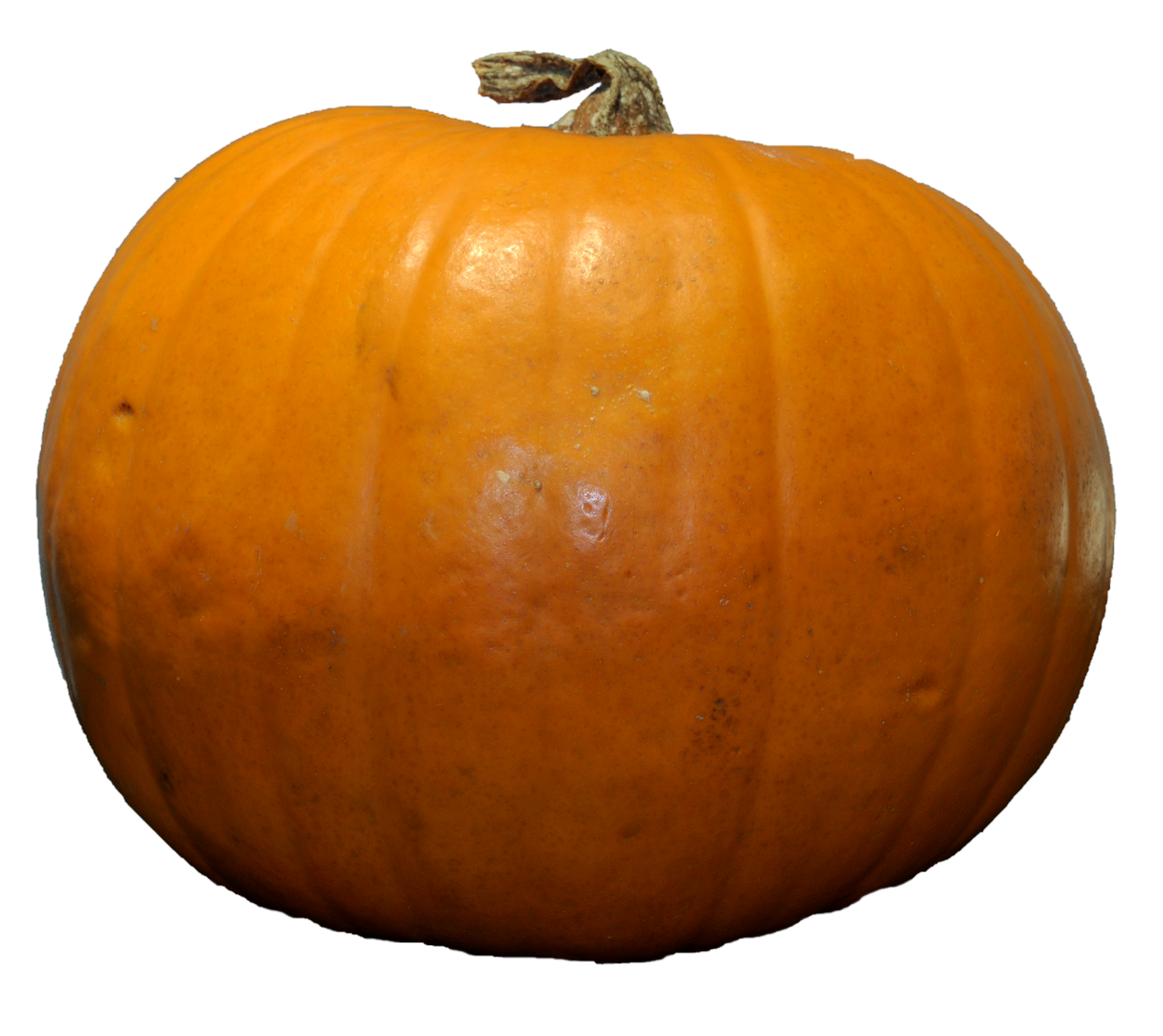 Pumpkin-22-1