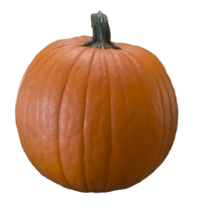 Simple Pumpkin Png