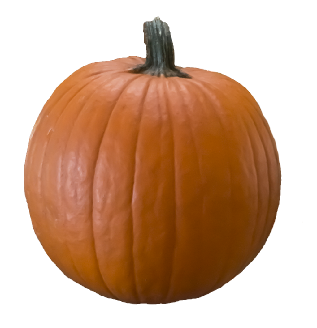 Pumpkin-24