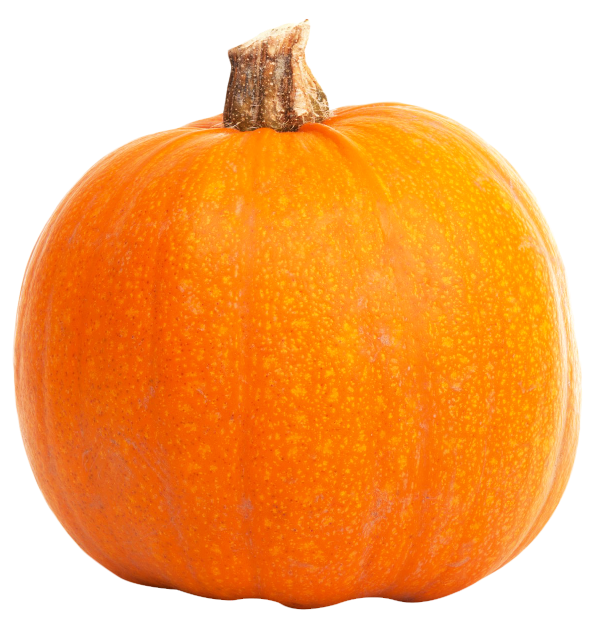Pumpkin-27