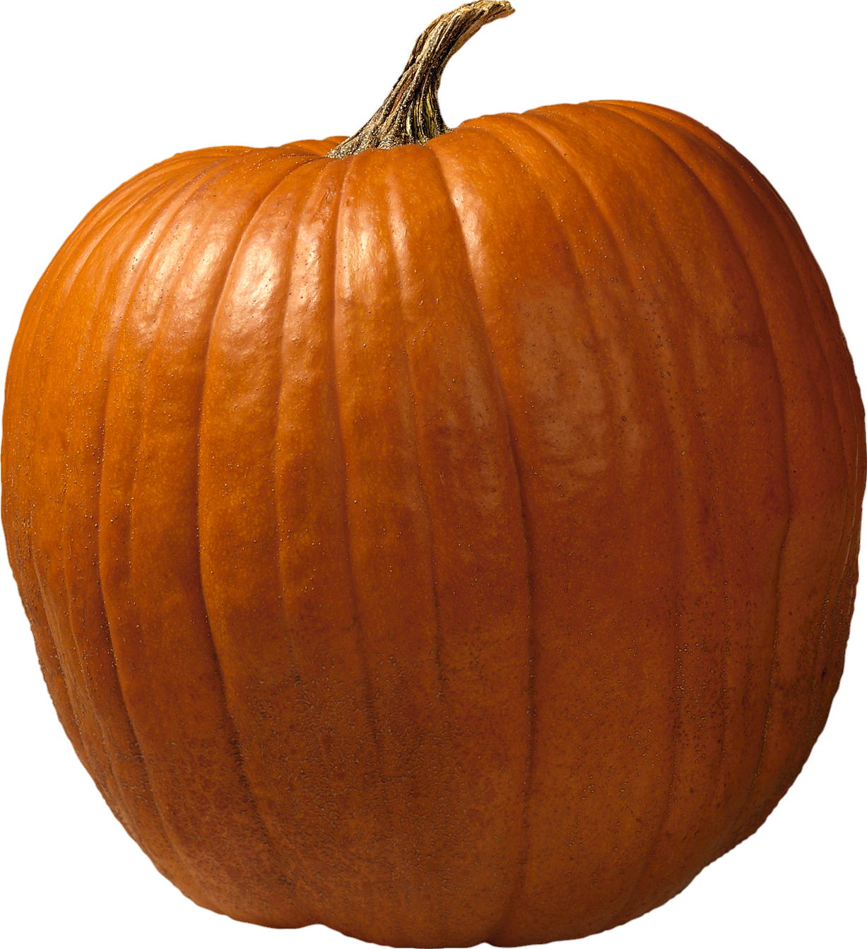 Pumpkin-4