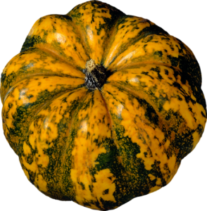 Pumpkin Vegetable Png