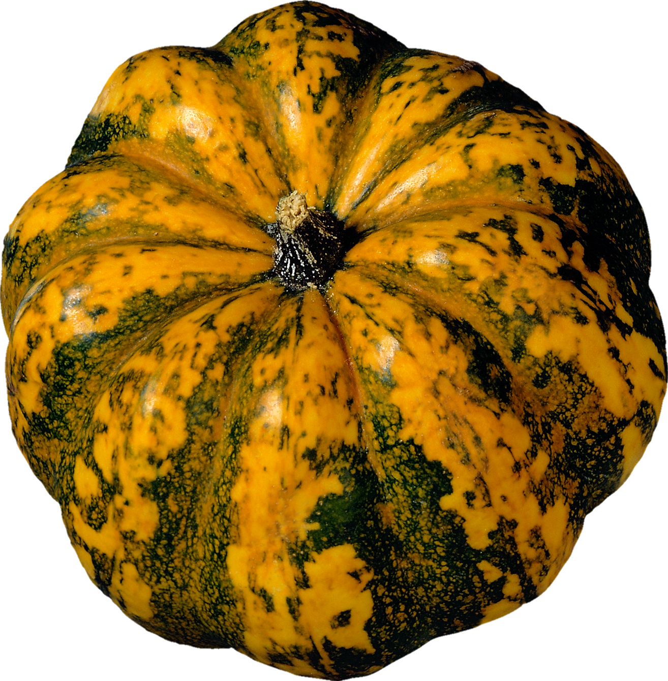 Pumpkin-5