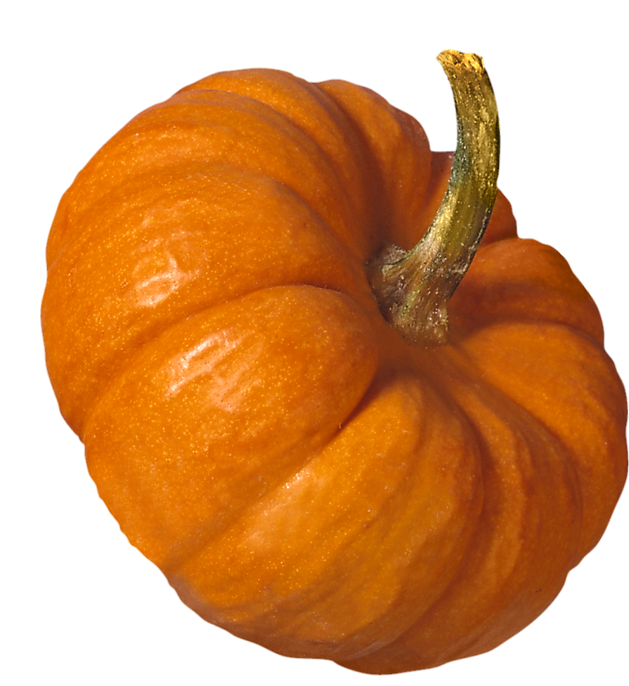 Pumpkin-6