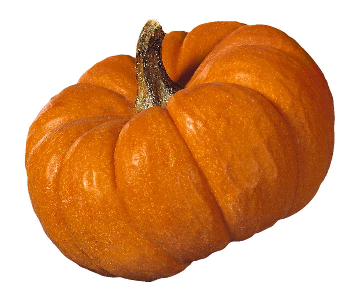 Pumpkin-7