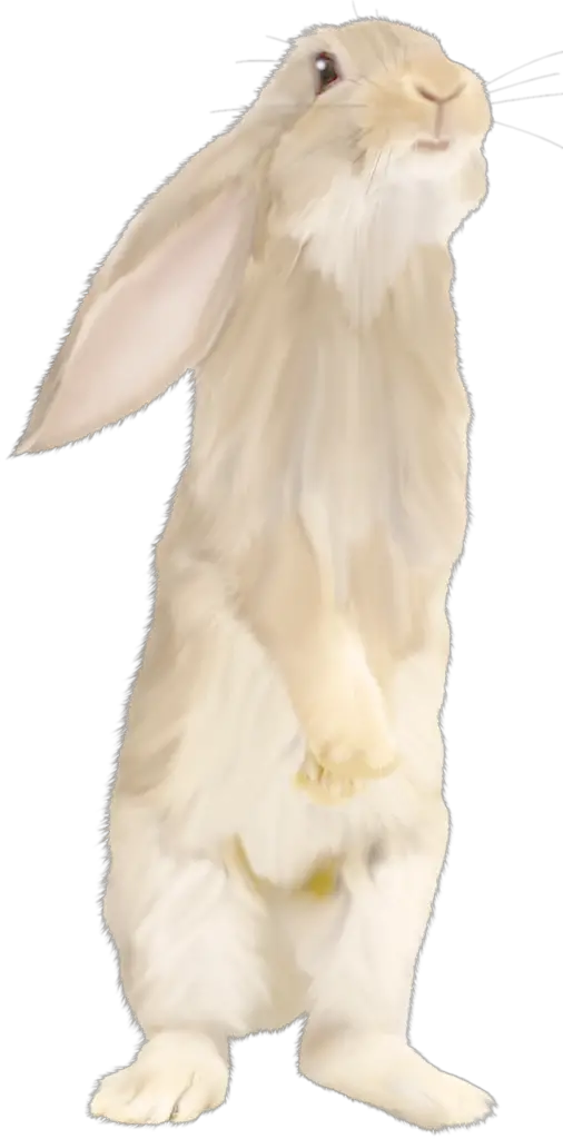 Rabbit Clipart png 