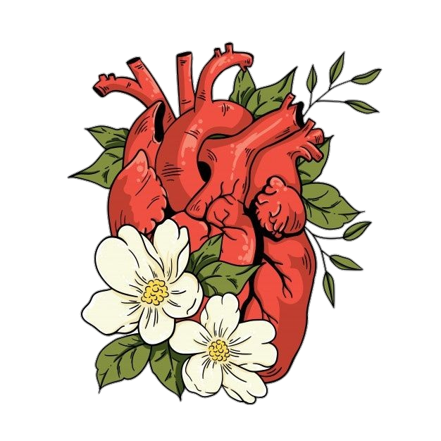 Human Heart Art Png