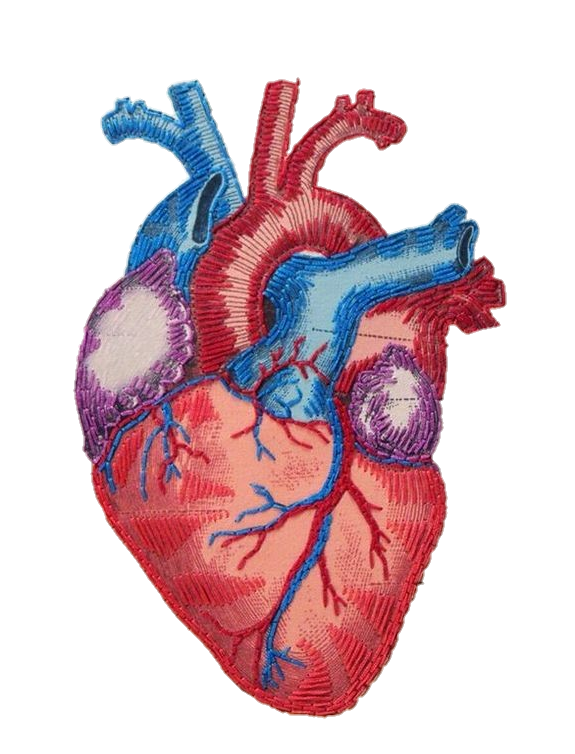 Human Heart Art Png