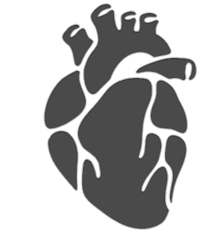 Human Heart Icon Png