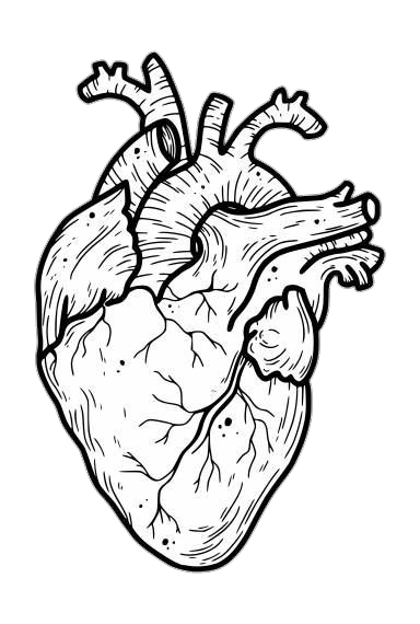 Drawn Human Heart Png
