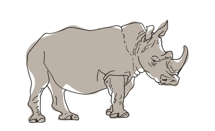 Rhino Clipart Png