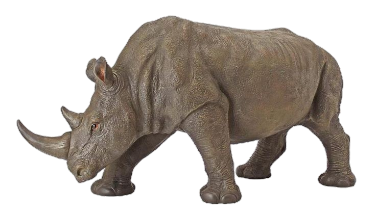 High-Resolution Rhino Png