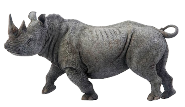 Transparent Rhino Png