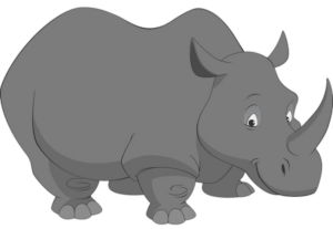 Rhino-9