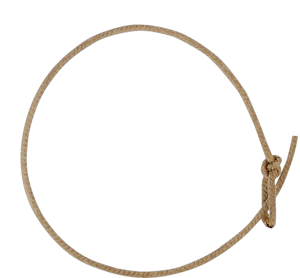 Circle Rope PNG