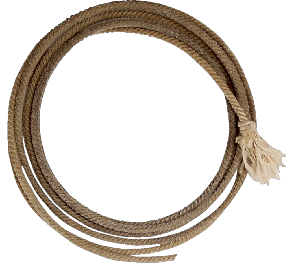 Circle Rope PNG