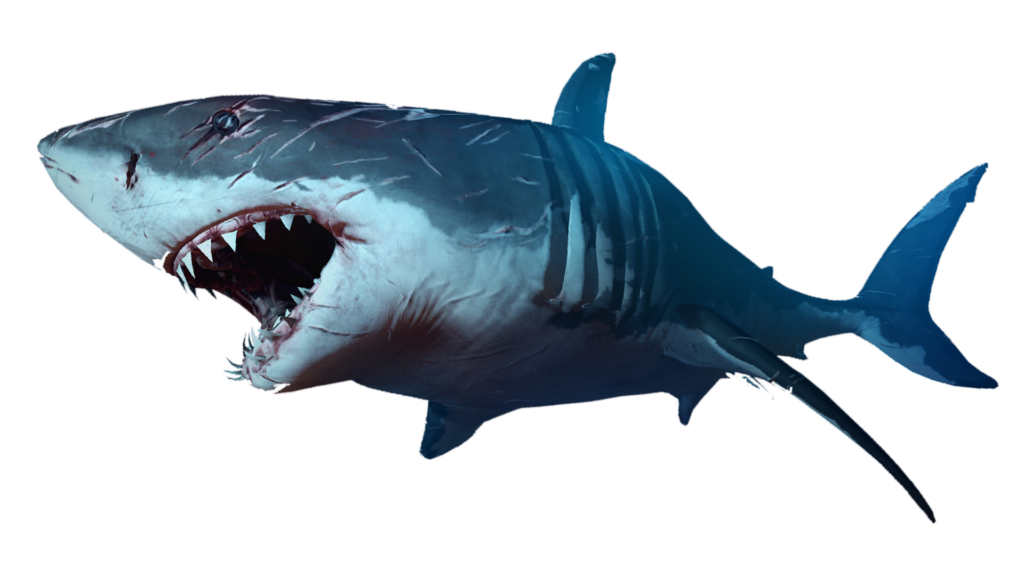 Blue Megalodon Shark Png