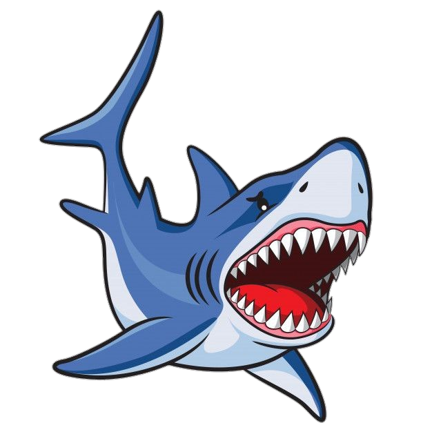 Shark-13