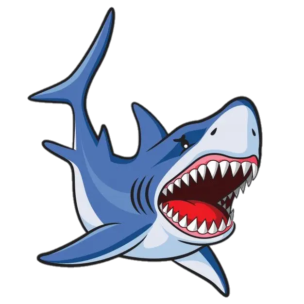 Shark Vector Png