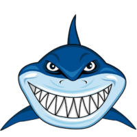 Shark Png Image