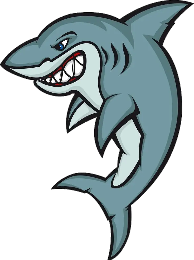 Shark Vector Png