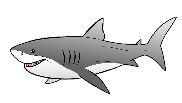 Animated Shark Png