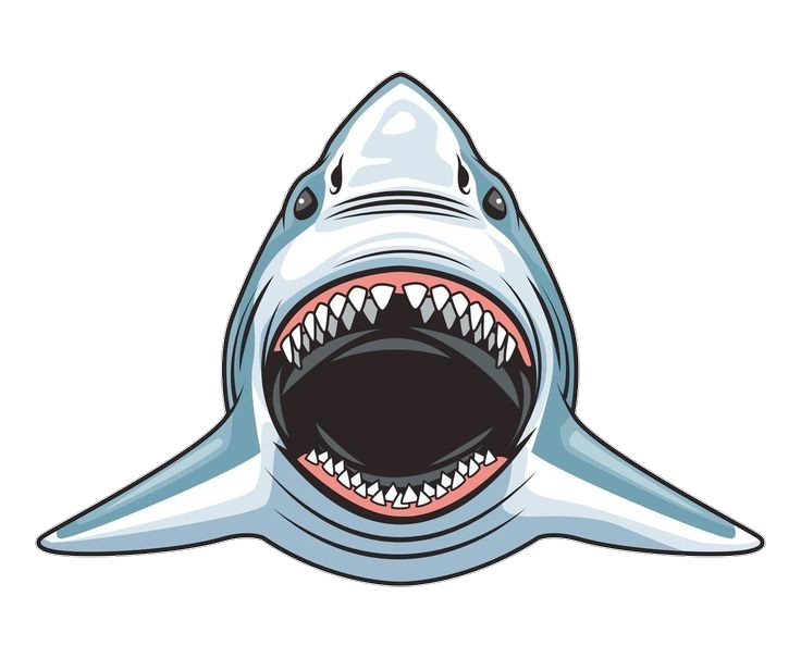 Shark Jaws clipart Png
