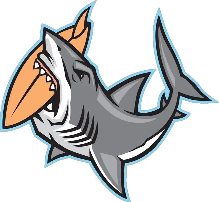 Shark Logo Png