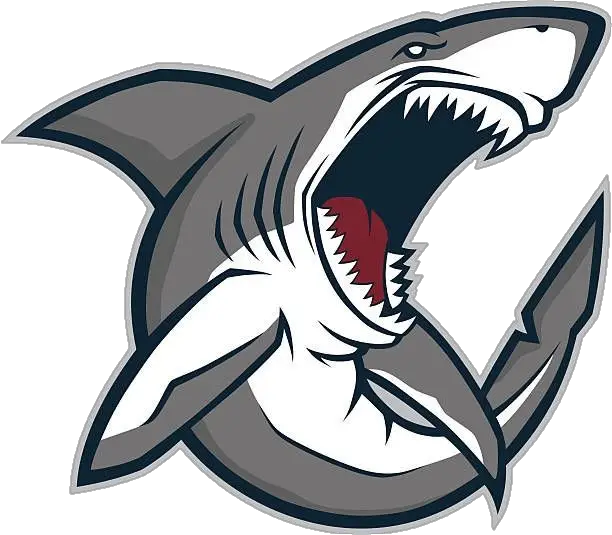 Shark Logo Png