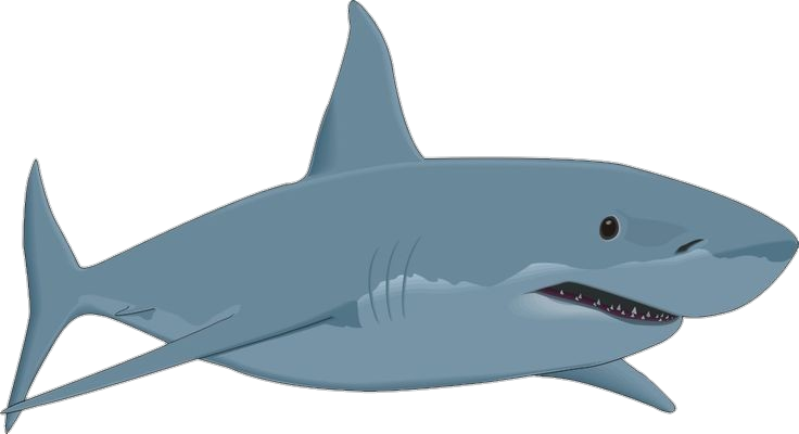 Shark-25