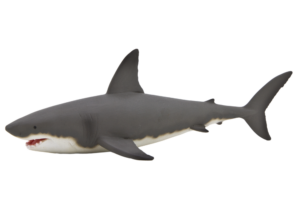 Shark-4