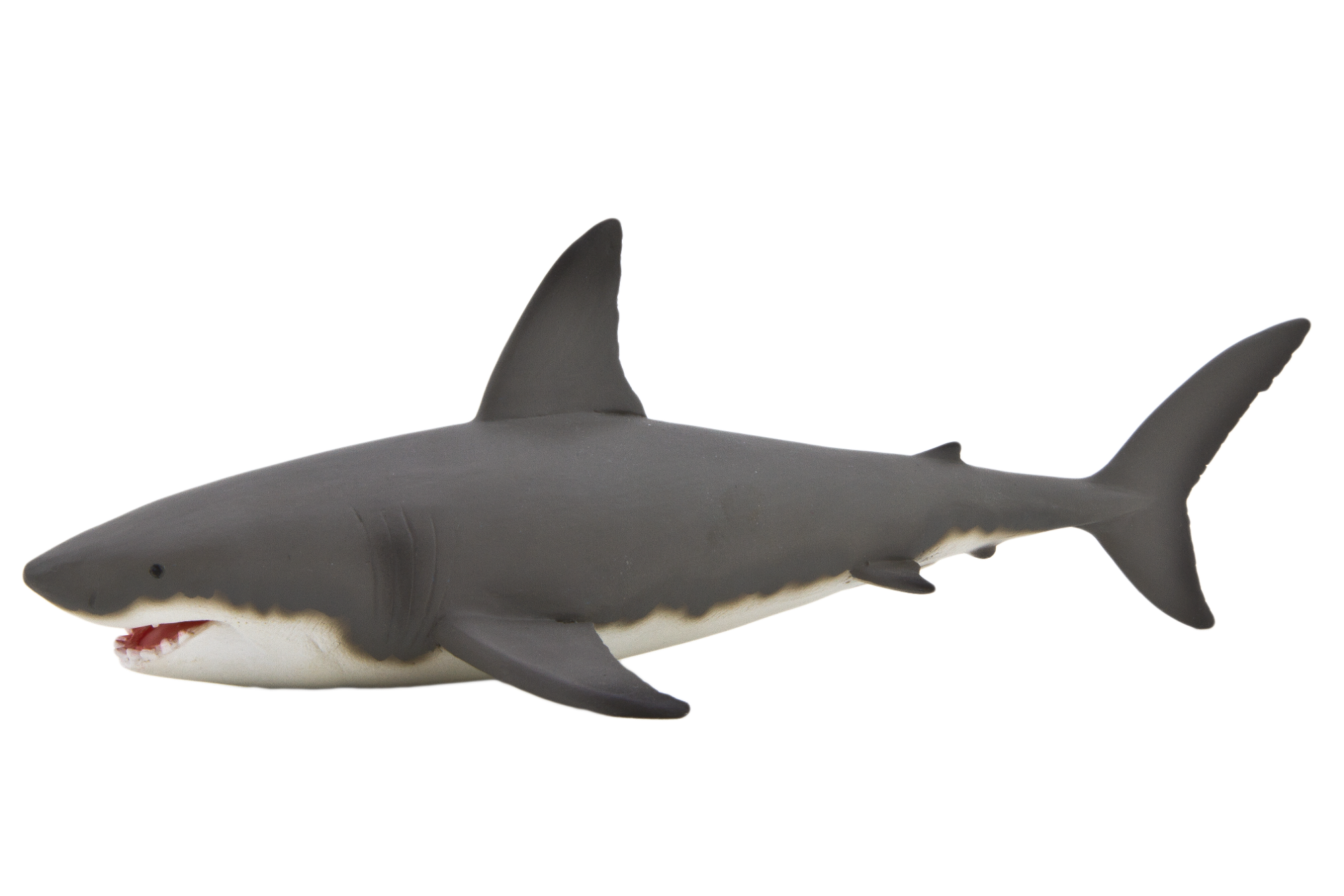 Shark-4