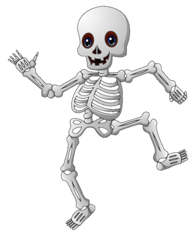Skeleton-12
