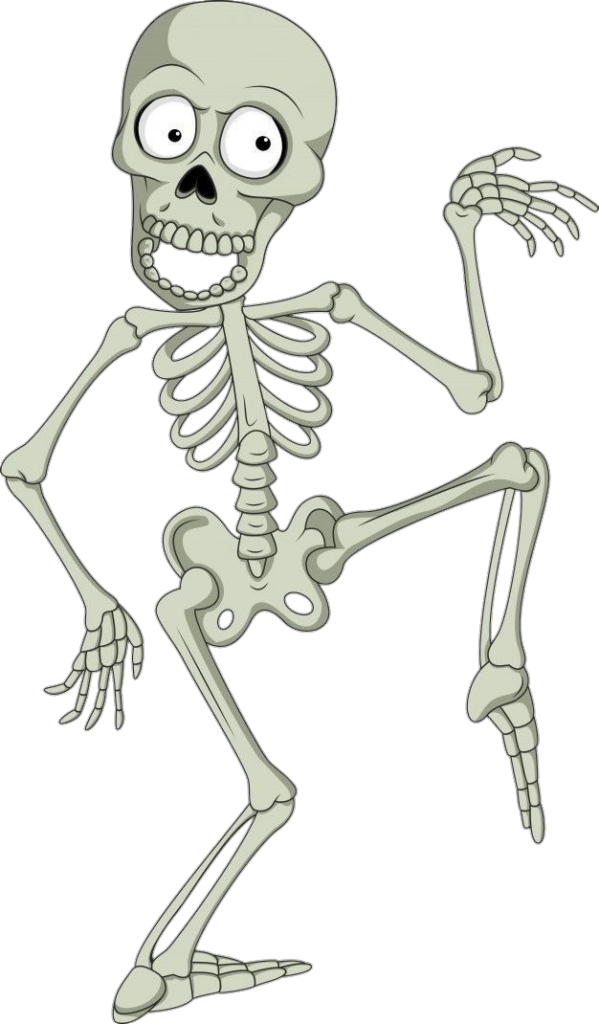 Cartoon Human Skeleton clipart Png