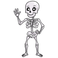 Human Skeleton Png