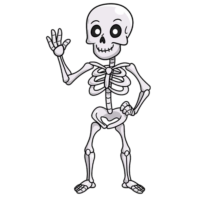 Human Skeleton PNG