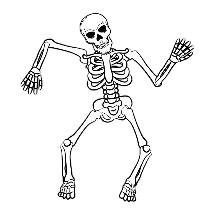 Animated Human Skeleton Png