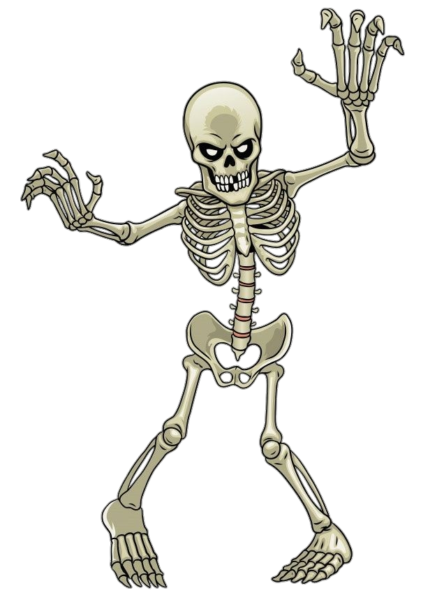 Human Skeleton clipart Png
