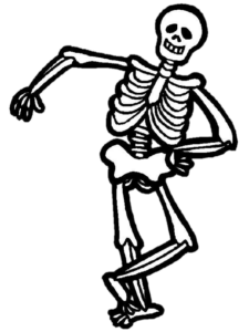 Human Skeleton PNG Transparent Images Free Download - Pngfre