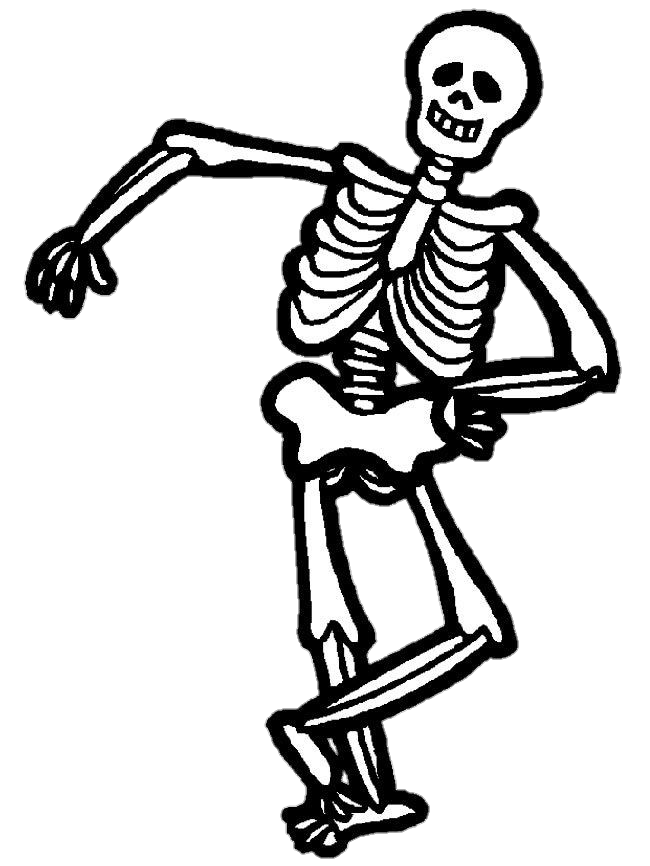 Skeleton-26
