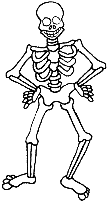 Skeleton-30