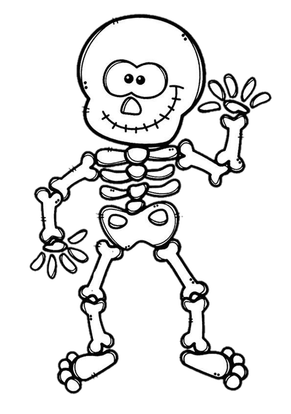 Cute Human Skeleton Art Png