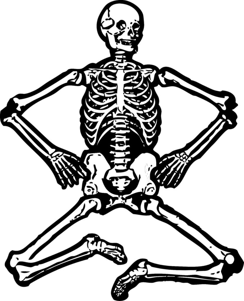 Human Skeleton clipart Png