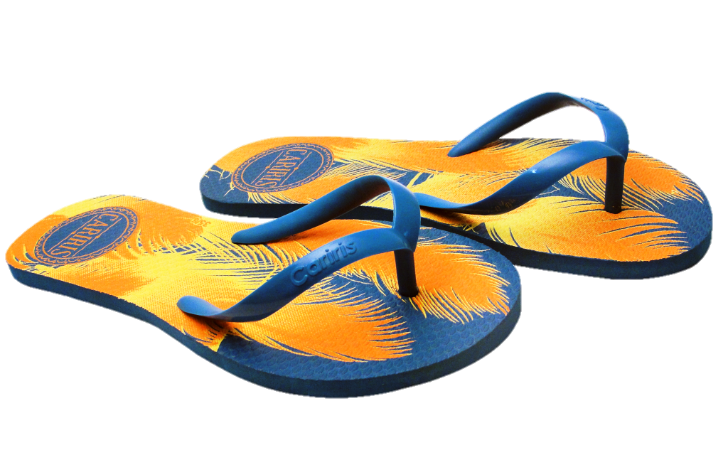 Animated Slippers Png