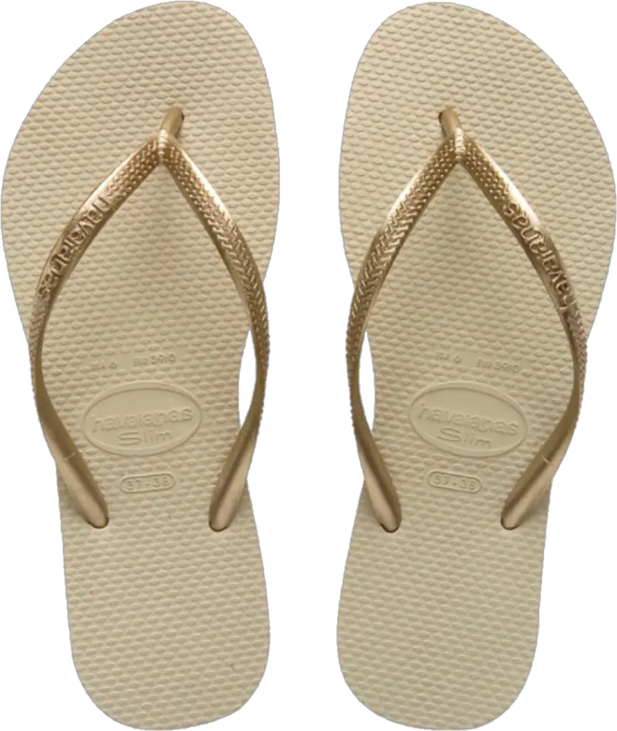 Transparent Slippers Png