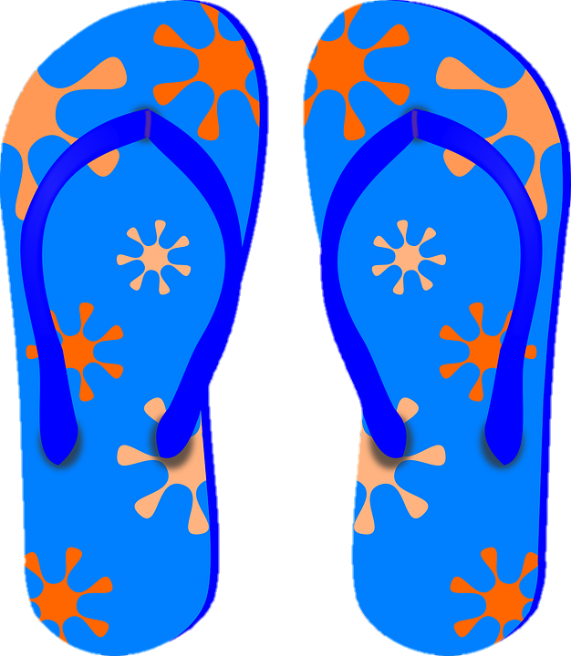 Slippers Vector Png