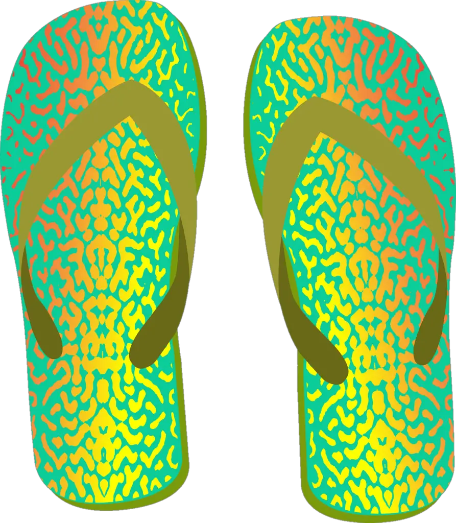 Slippers Clipart png 