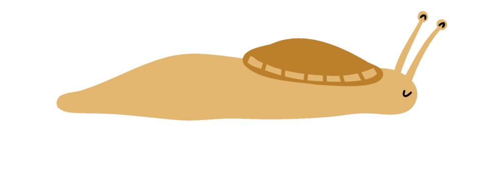 Slug clipart PNG